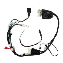 ARNES ELECTRICO ITALIKA DM 200 (07-19) 12V