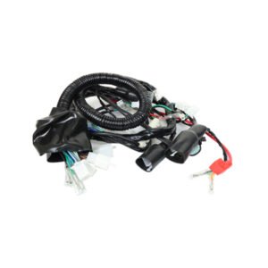 ARNES ELECTRICO VENTO TORNADO 250 (20-21) 12V