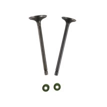 VALVULA ADMISION/ESCAPE SET HONDA CGL 125 TOOL (12-19)