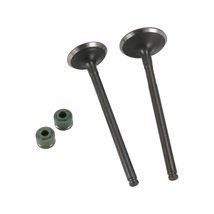 VALVULA ADMISION/ESCAPE SET ITALIKA V 200 (18-22)
