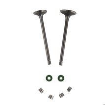 VALVULA ADMISION/ESCAPE CON SELLOS/CANDADOS SET ITALIKA 125 Z (16-19)