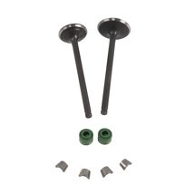 VALVULA ADMISION/ESCAPE SET ITALIKA 250 Z (14-17)