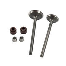 VALVULA ADMISION/ESCAPE SET ITALIKA 125 FL (13-19) (WSTD)