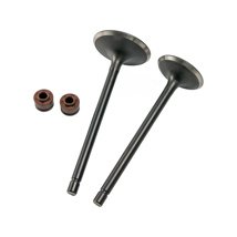 VALVULA ADMISION/ESCAPE SET VENTO NITROX 250 T2 (21-22) (WSTD)
