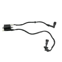 BOBINA ENCENDIDO DOBLE BAJAJ PULSAR NS 200 (12-23) (WSTD) 12V