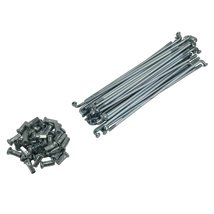 RAYO CON NIPLE TRASERO 8G SET HONDA CGL 125 TOOL (12-19)